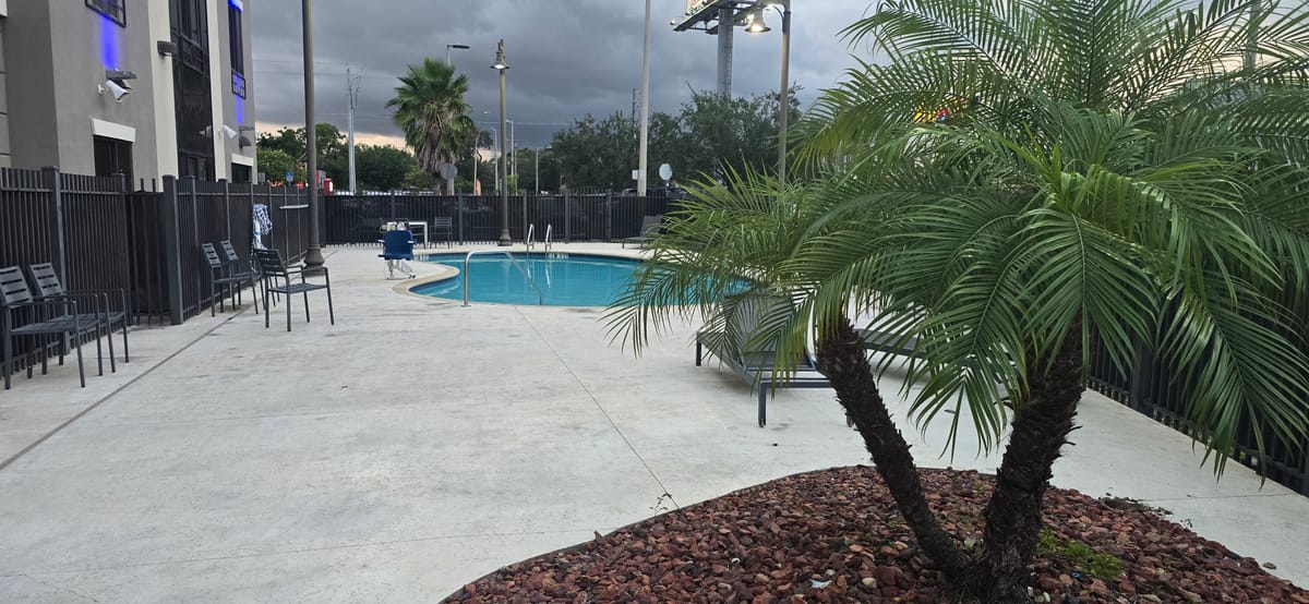 Holiday Inn Express & Suites Tampa -Usf-Busch Gardens by IHG — 5