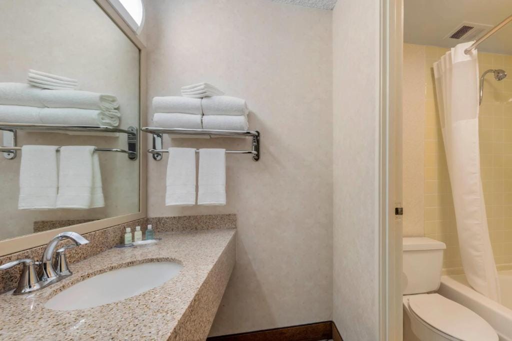 Clarion Hotel Anaheim Resort — 3