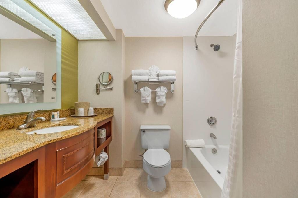 Comfort Inn Anaheim Resort — 3