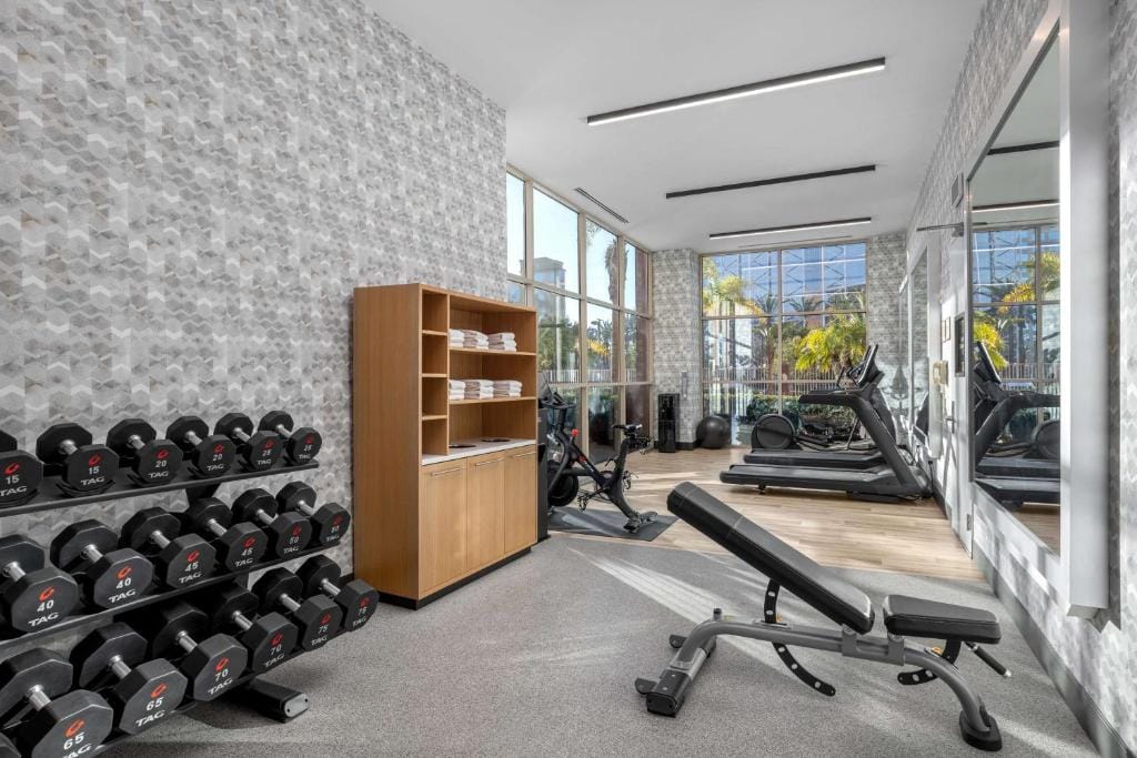 Embassy Suites by Hilton Anaheim South — 5