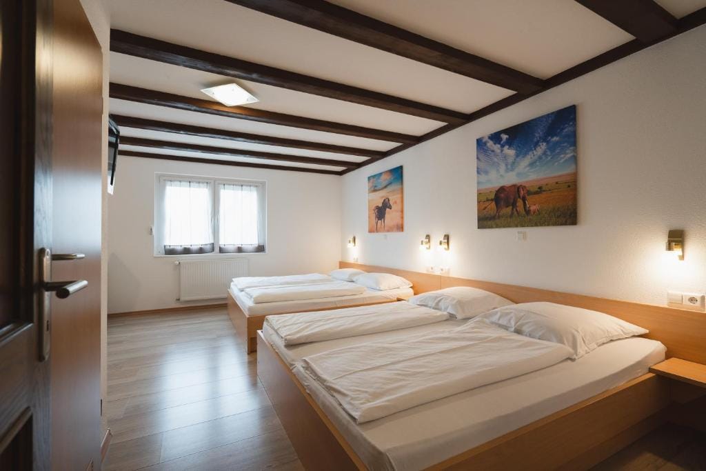 Park Hotel & Gästehaus Rust — 2