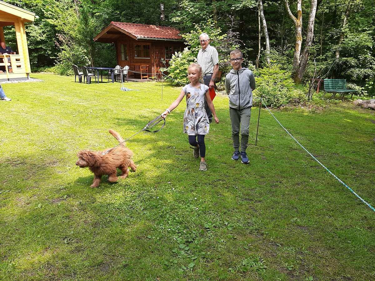 Krogager Primitiv Camping — 3