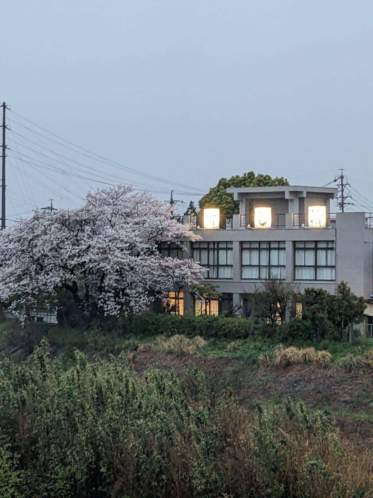 料理旅館 すし清 — 3