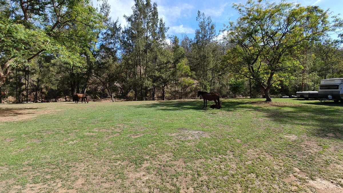 Emu Creek Retreat — 5