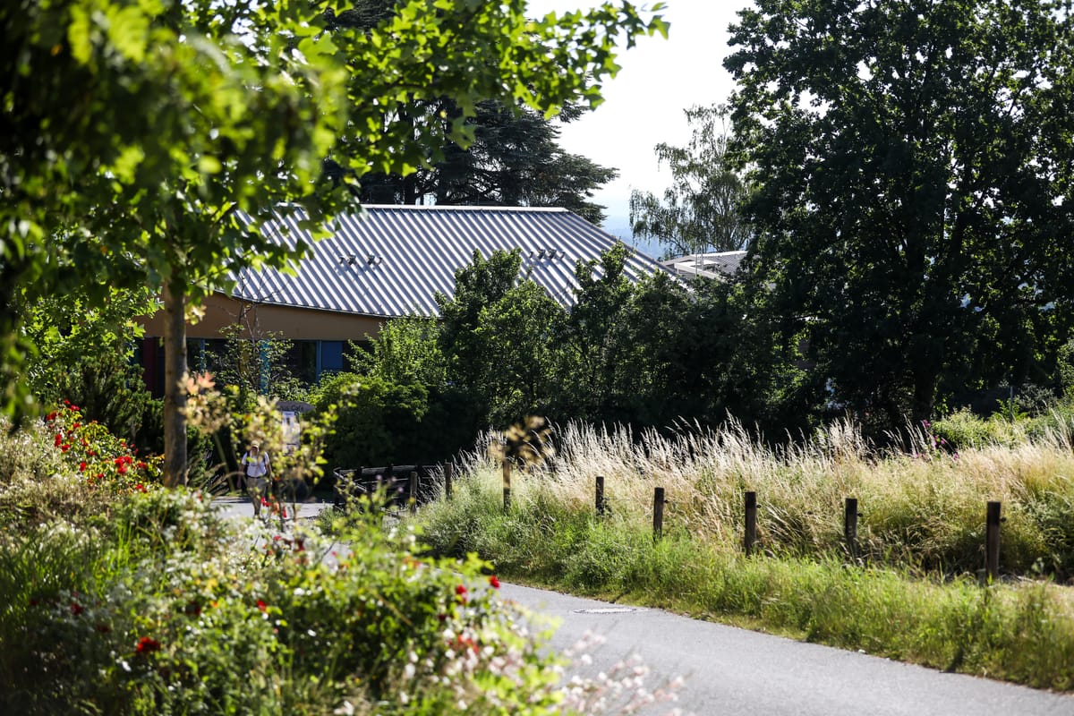 Alanus Gaestehaus — 5